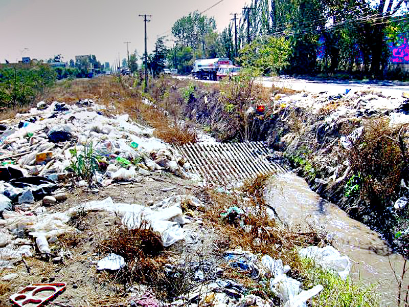 La Ruta de la Basura Urbana
