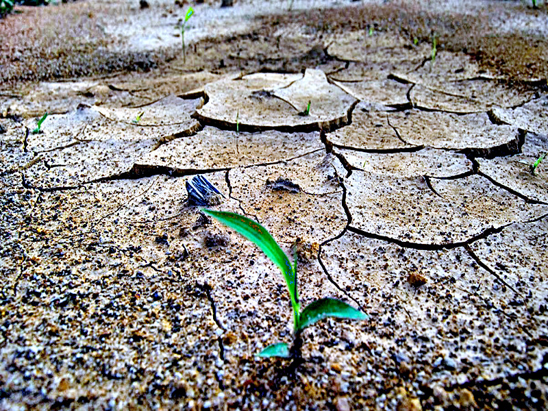 Cambio Climático – Reportaje Diario La Segunda