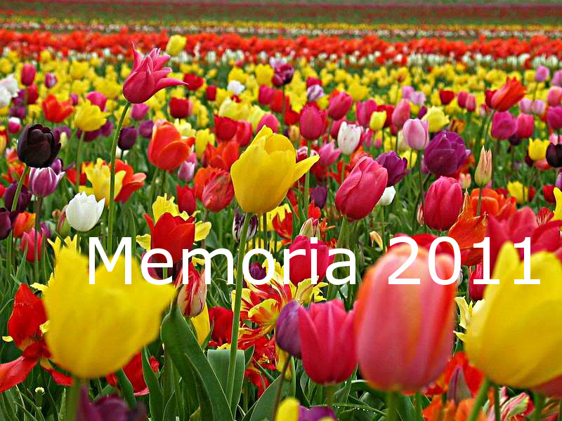 Memoria 2011