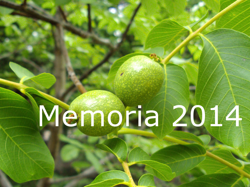Memoria 2014