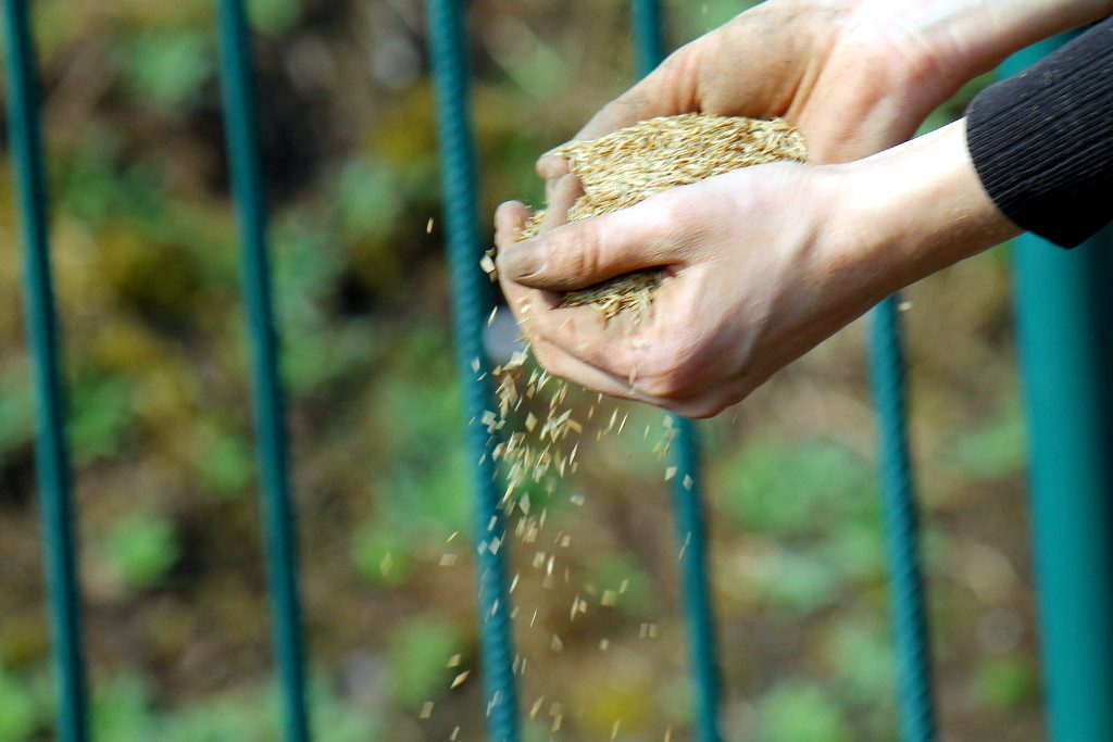 Carta Informativa y de Cobranza 2016-2