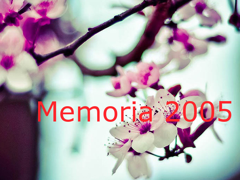 Memoria 2005