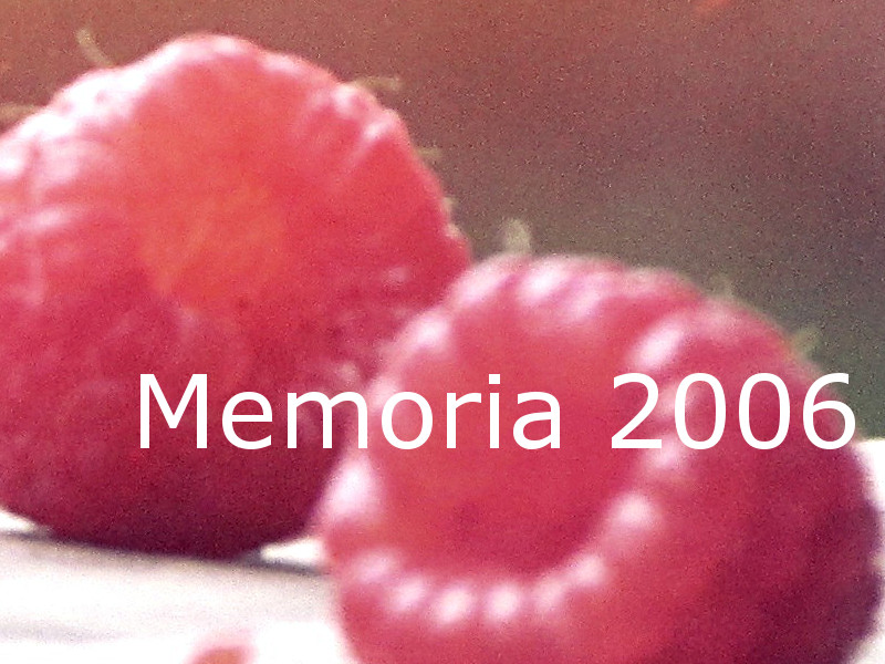 Memoria 2006