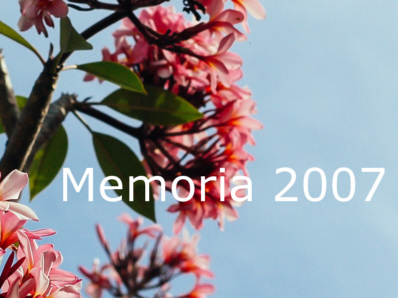Memoria 2007