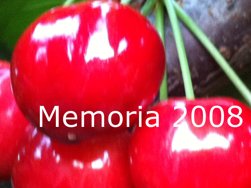 Memoria 2008