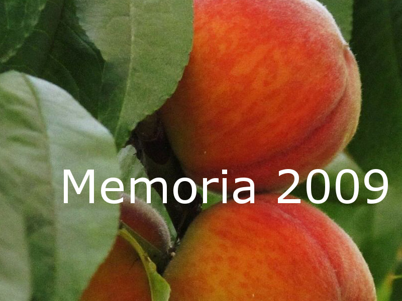 Memoria 2009