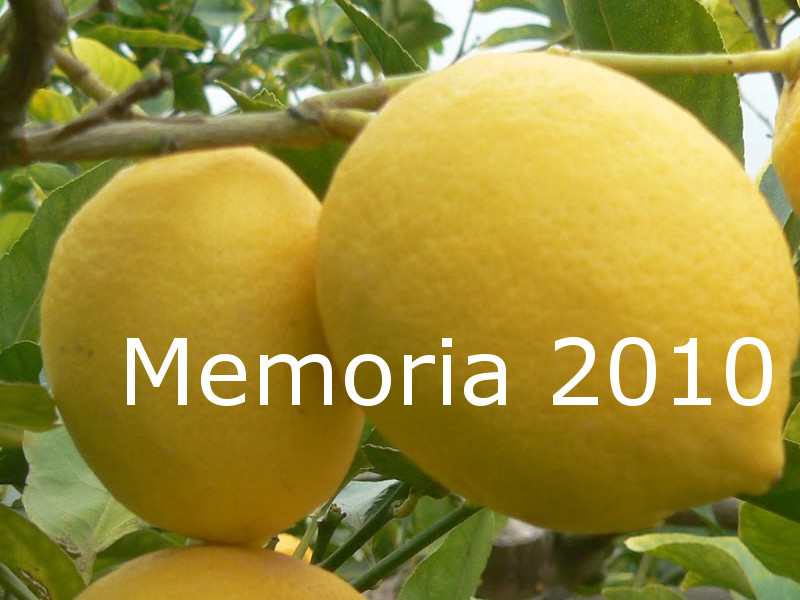 Memoria 2010
