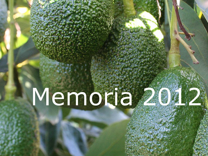 Memoria 2012