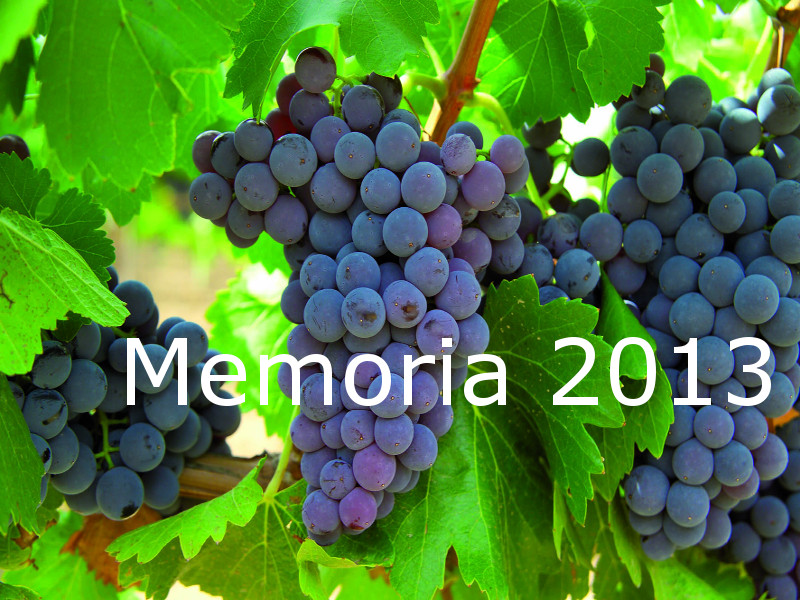 Memoria 2013