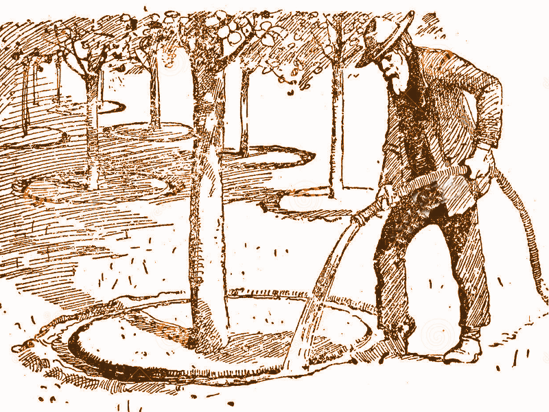 Caudal Medio Diario en Canal Tronco (m3/s). Abril