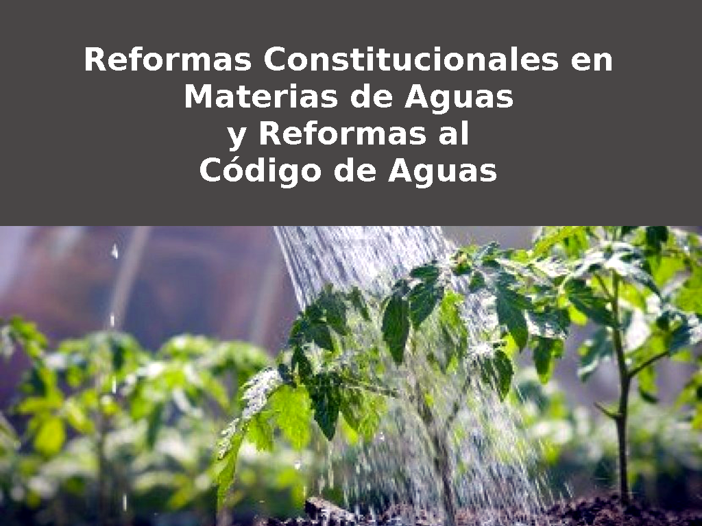 Minuta Caudal Ecológico Mayo 2016