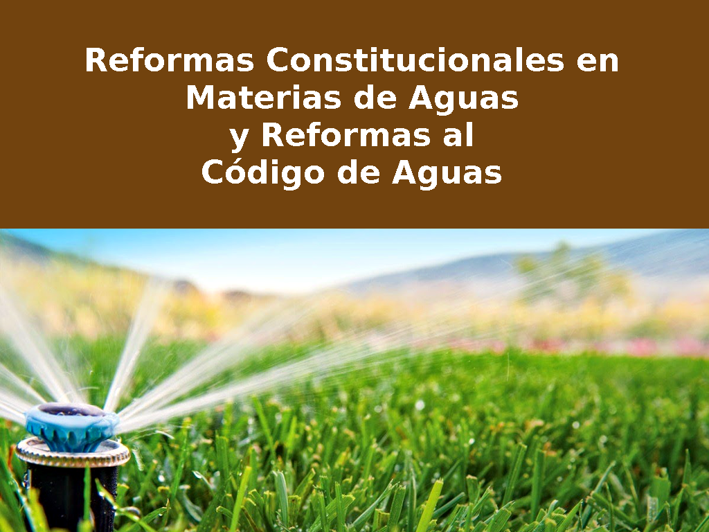 Minuta para Srs Diputados mayo 2016