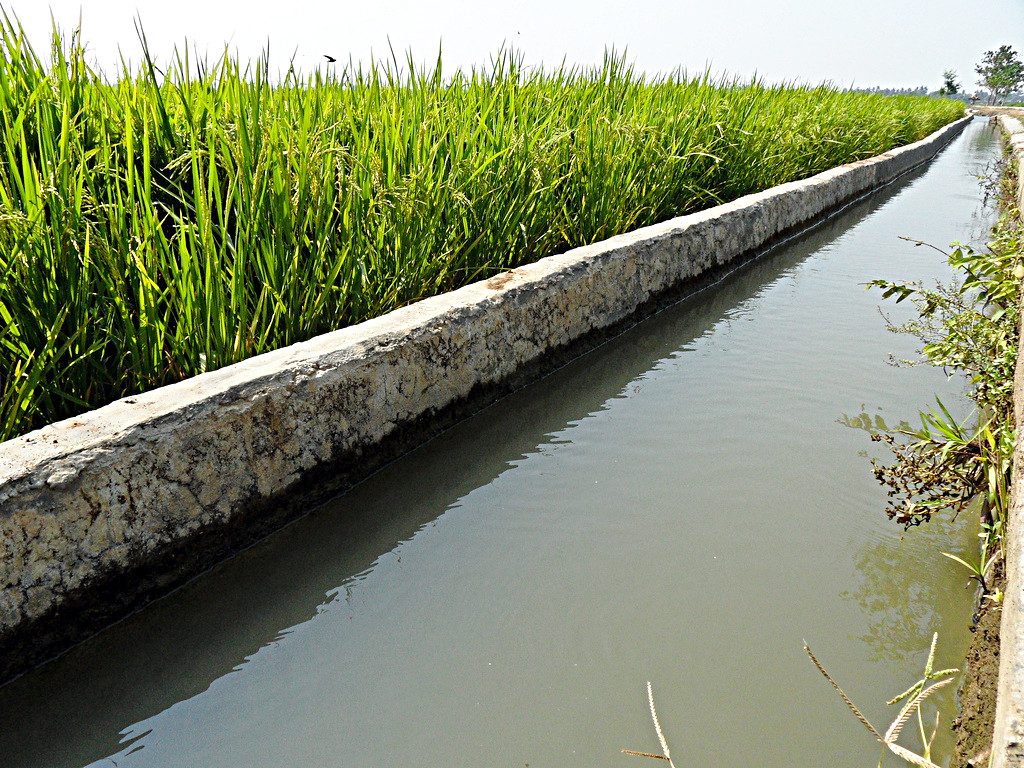 Polémica por Propuesta de Reforma Constitucional sobre Derechos de Agua