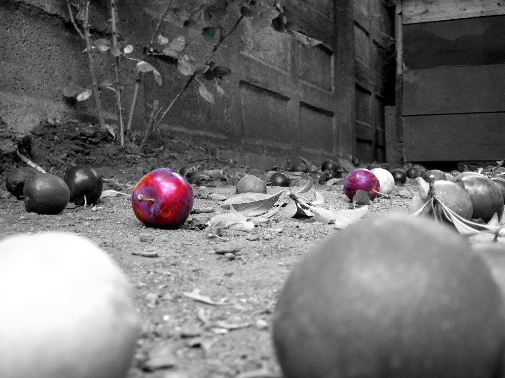 Propuesta de la Confederación de Canalistas de Chile