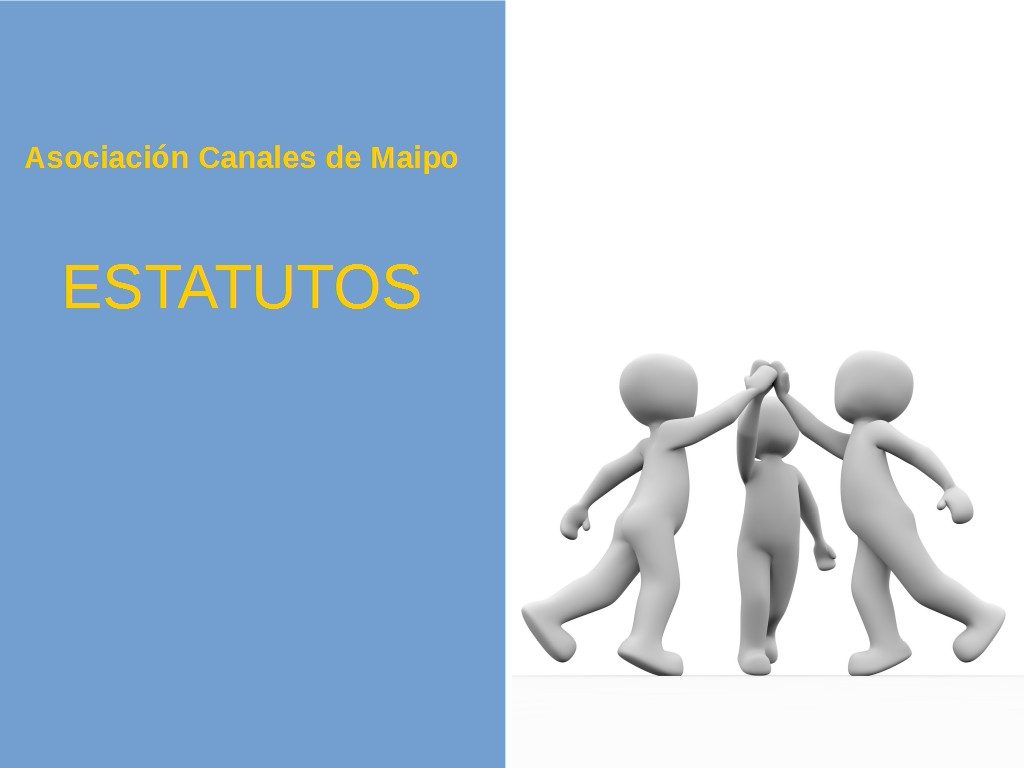 Propuesta de Estatutos. Observaciones de la Junta Extraordinaria