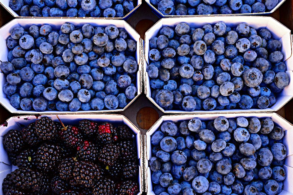 Matías Desmadryl L. – Modificaciones Código de Aguas