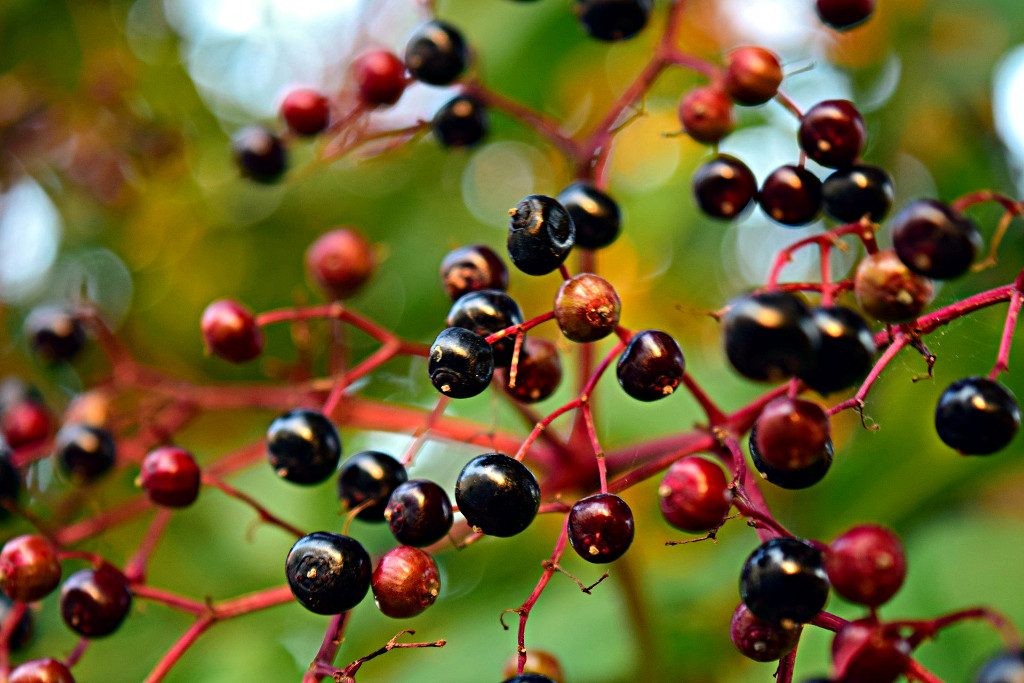 Caudal Ecológico e Indemnizaciones Amenazan Reformas al Código de Aguas