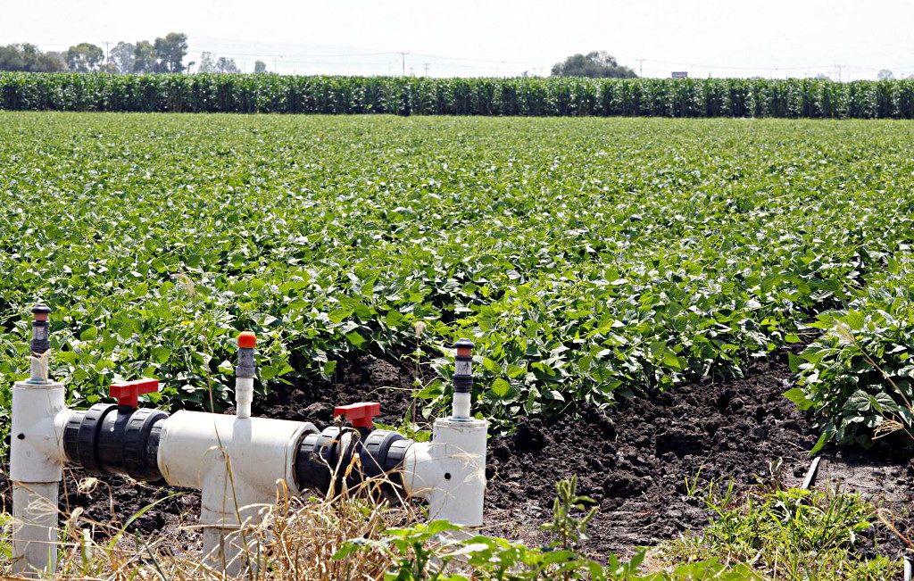 Regantes de centro norte del país insisten en que temen expropiación de sus derechos de agua