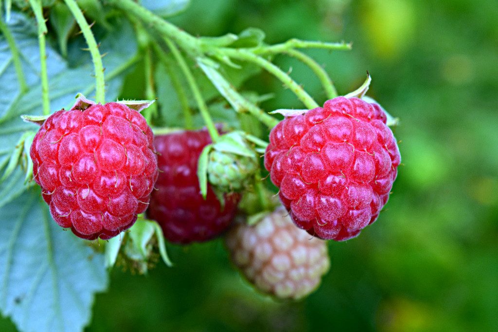 Carta Informativa y de Cobranza 2021-1