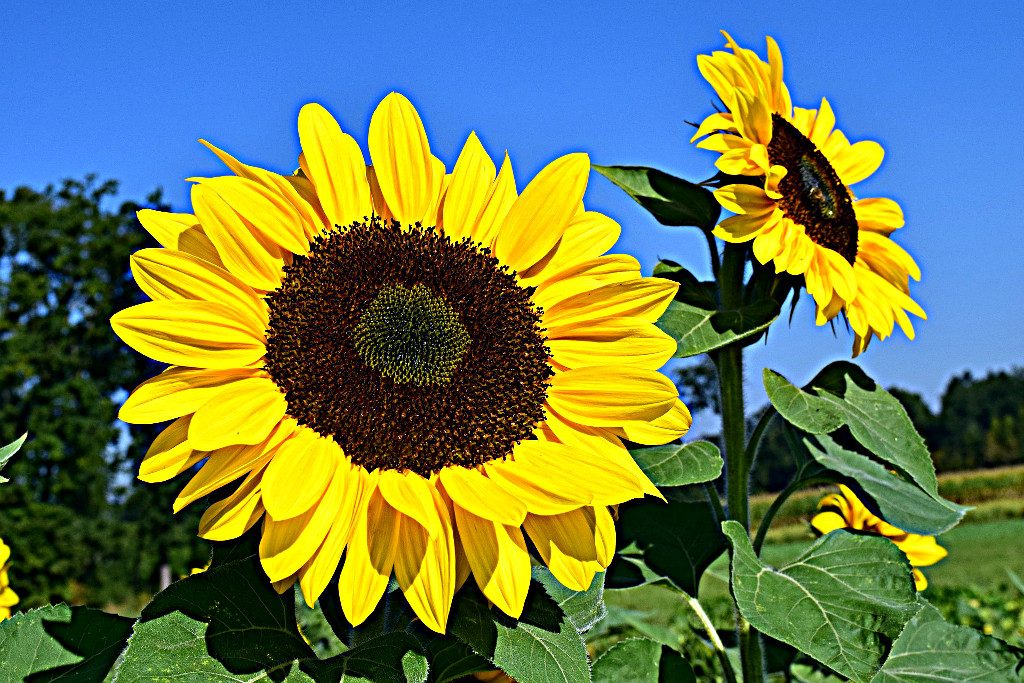 Expertos piden Revisión Completa de Avances en Reformas al Código de Aguas