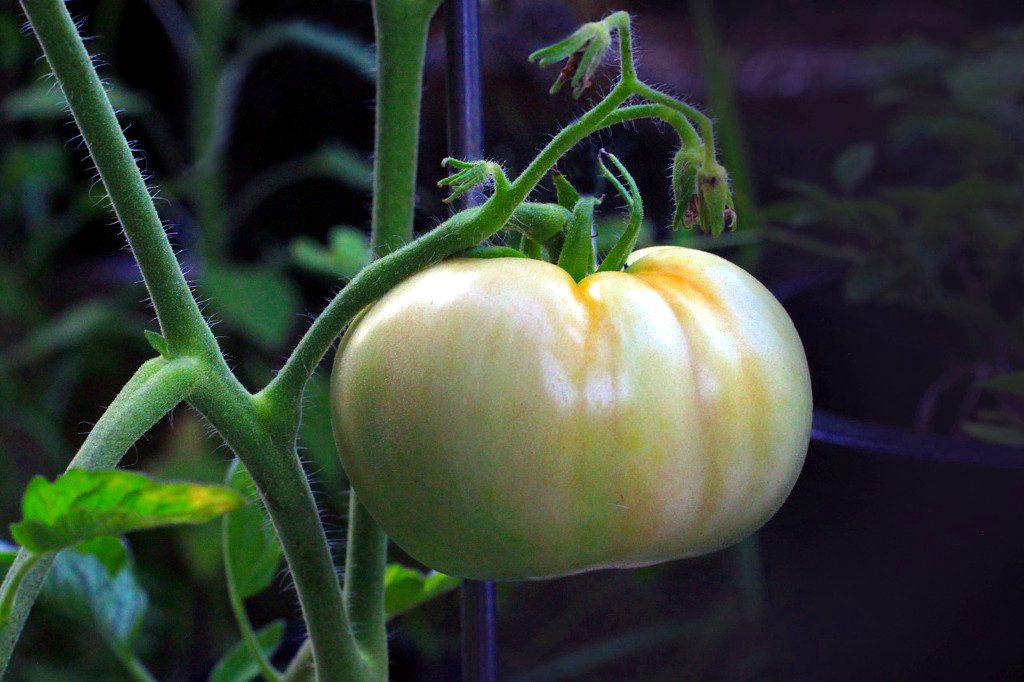 Proyecto que Modifica el Código de Aguas Vigente (resumen)