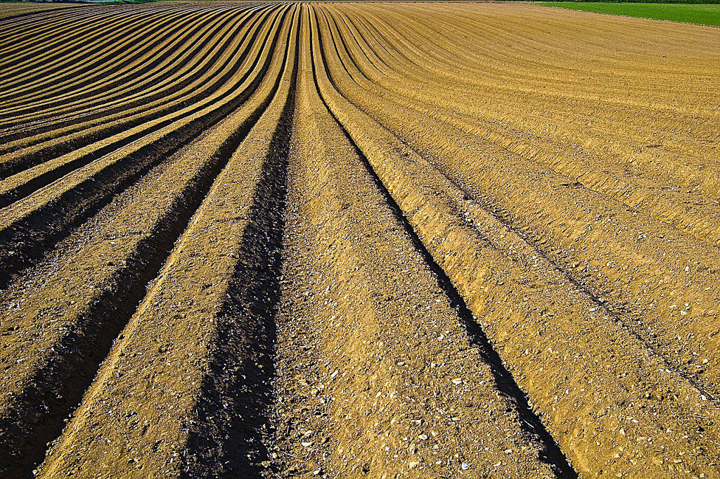 Agua: ¿consumo humano o producción agrícola?