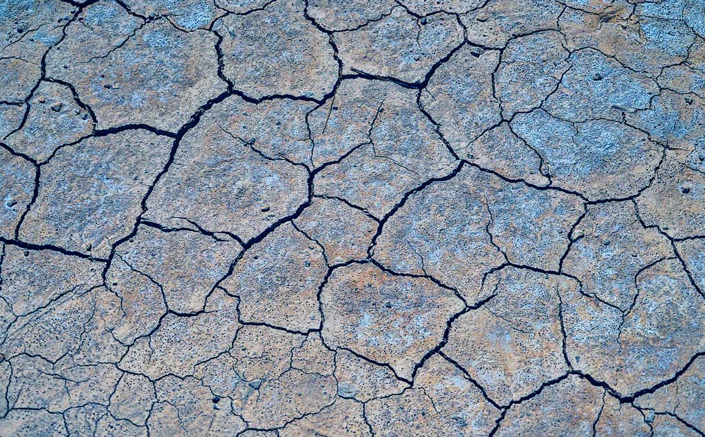 El retiro de los gigantes naturales II