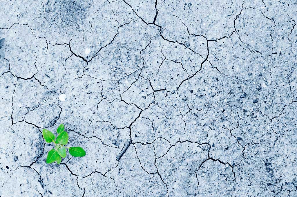 Sequía, escasez y tarificación