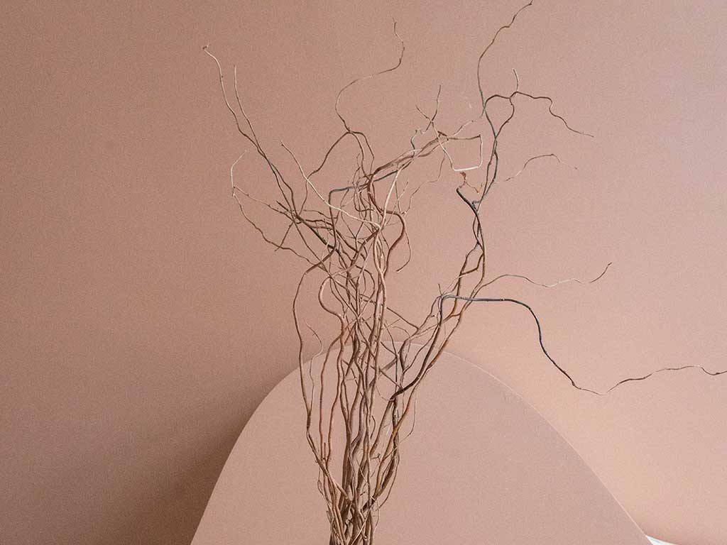 Sector agrícola bajo alerta: El mapa de los cultivos dañados y las zonas de mayor riesgo por la crisis hídrica