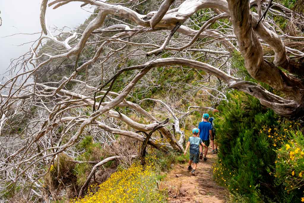 Escasez de agua en cuenca del Maipo:“Estamos en una situación de guerra”