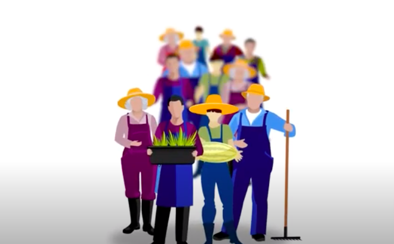 ¿Qué son las organizaciones de usuarios de agua?